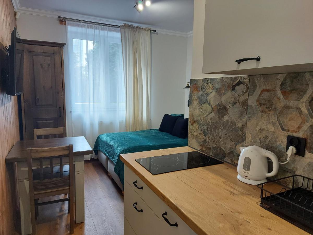 4 Strony Swiata Pokoje I Apartamenty 德兹维济诺 客房 照片