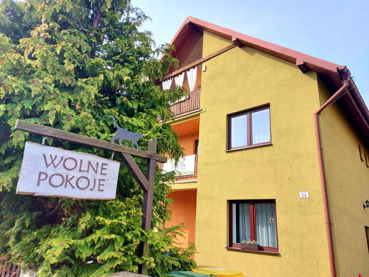 4 Strony Swiata Pokoje I Apartamenty 德兹维济诺 外观 照片